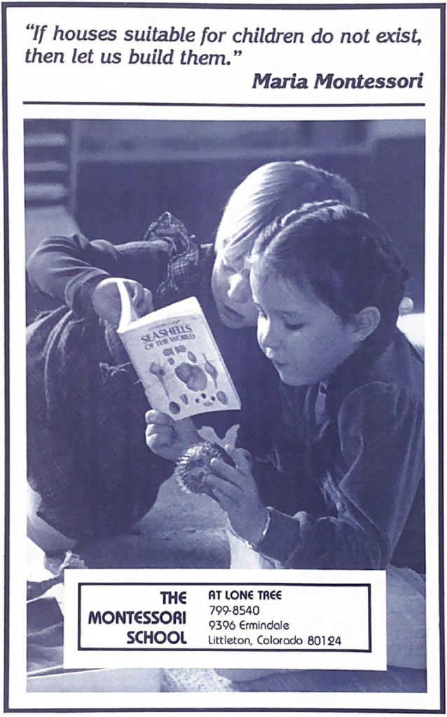 1980s, Original MSLT Pamphlet